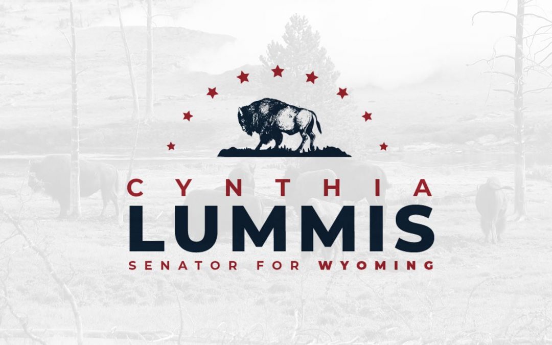 Lummis: ‘Unity’ President & Democrats Choose Partisan Path on Coronavirus Relief