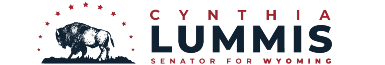Lummis Votes for Bipartisan Highway Funding Bill